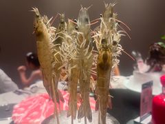 -海月轩海鲜豆捞(紫金塔店)