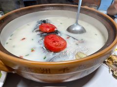 -全乐鱼馆·淳牌有机鱼直营店