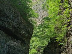 -野三坡百里峡景区