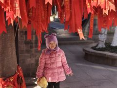 -灵谷景区