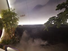 -鸽子侯·家宴·平价海鲜(市图书馆店)