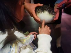 -肆月河豚·淮扬菜·湘菜(华天店)