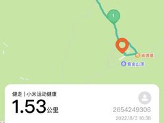 -紫金山山顶公园
