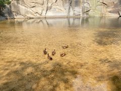 -黑龙潭风景区