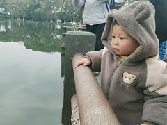 -西湖游船