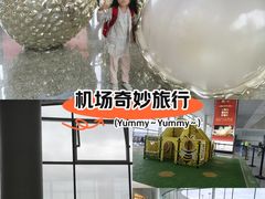 -广州白云国际机场-T2航站楼