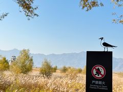 -野鸭湖国家湿地公园