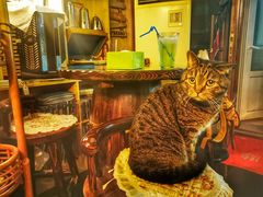 -云端咖啡私房店(河松街店)