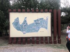 -云岗森林公园