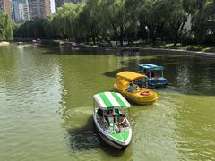 -团结湖公园