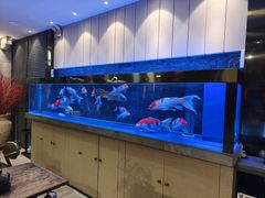 -川旺角融合菜•海景餐厅(星海广场店)