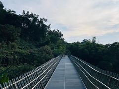 -福道