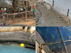 -大连森林动物园