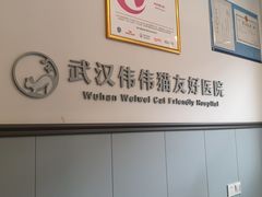 -伟伟宠物医院·瑞派猫友好医院·猫科(光谷店)