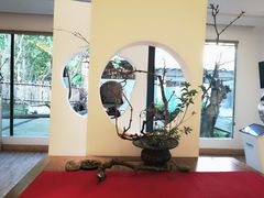 -乐领拈花溪·林涧食韵