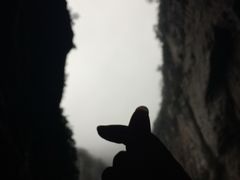 -重庆武隆天生三桥风景区-神鹰天坑
