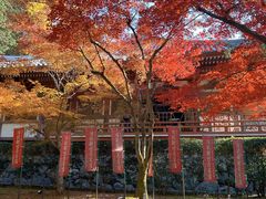 -醍醐寺
