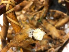 椒盐多春鱼-桥东喜碧海鲜街(水东街店)