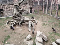 -南昌动物园