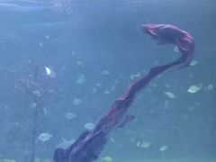 -常州海昌海洋探索馆