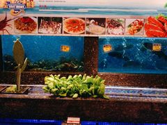 水产区-乾隆美食·本帮菜(黄河路店)