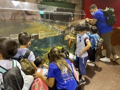 -上海市浦东新区恒宇幼儿园(杨南部)