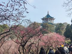-无锡梅园公园