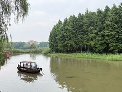 -溱湖国家湿地公园