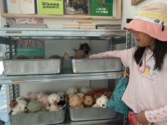 -收获咖啡HARVEST RESERVE(苍山店)