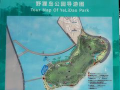 -野狸岛