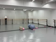 -中央芭蕾舞团·中芭艺蕾(酒仙桥明星校区)