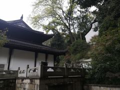 -西湖游船