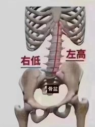 -AN普拉提女子健身工作室
