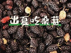 -御林古桑园