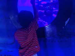 -烟台海昌鲸鲨海洋公园