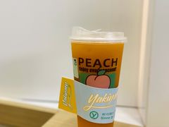 心想柿橙-雅克雅思(纱帽河店)