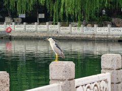 -南长河公园