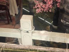 -蓉城老妈火锅(双林路店)