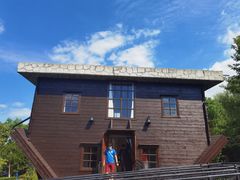 -金山农民画村-枫泾波兰倒置屋