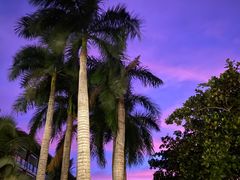 -三亚海棠湾万丽度假酒店