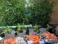 -成都保利公园皇冠假日酒店(熊猫基地店)