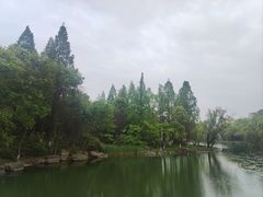 -苏州金鸡湖大酒店