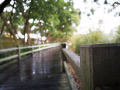 -普陀山慧济禅寺