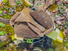 -宫燕府·京菜·烤鸭·淮扬菜(王府中心店)