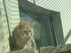 -青藏高原野生动物园