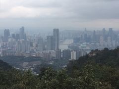 -南山植物园