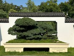 -盆景园(扬州大运河文化旅游度假区)