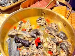 竹丝鸡-Darling Queen·Mini·Live·House