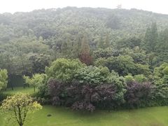 -上海佘山世茂艾美酒店