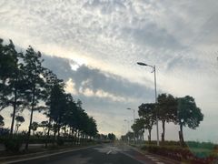 -南汇嘴观海公园